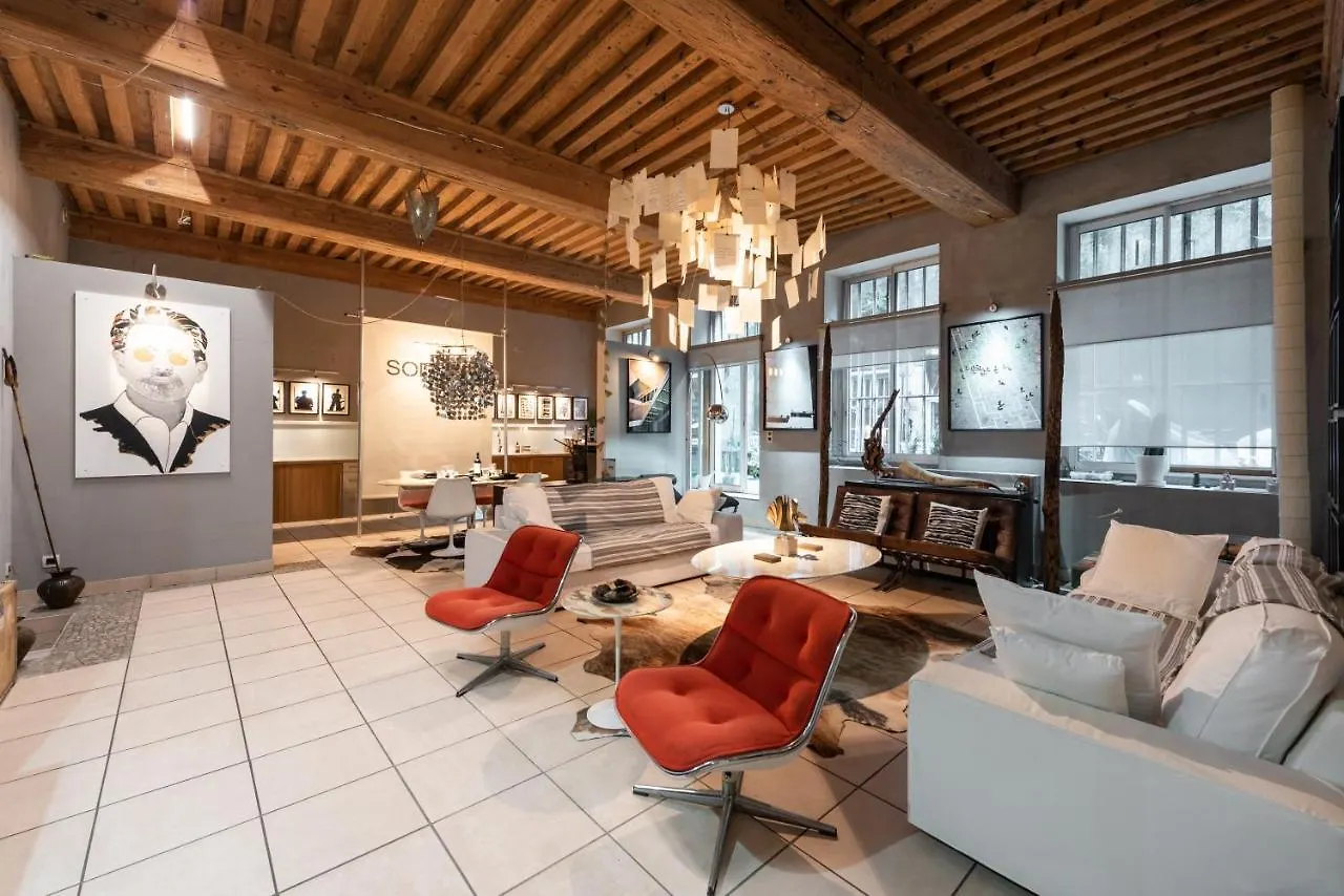 Le Soyeux - T3 Calme Avec Terrasse A La Croix Rousse Appartement Lyon Frankrijk